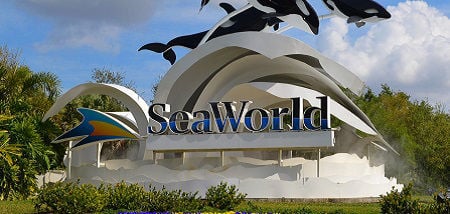 SeaWorld Orlando picture